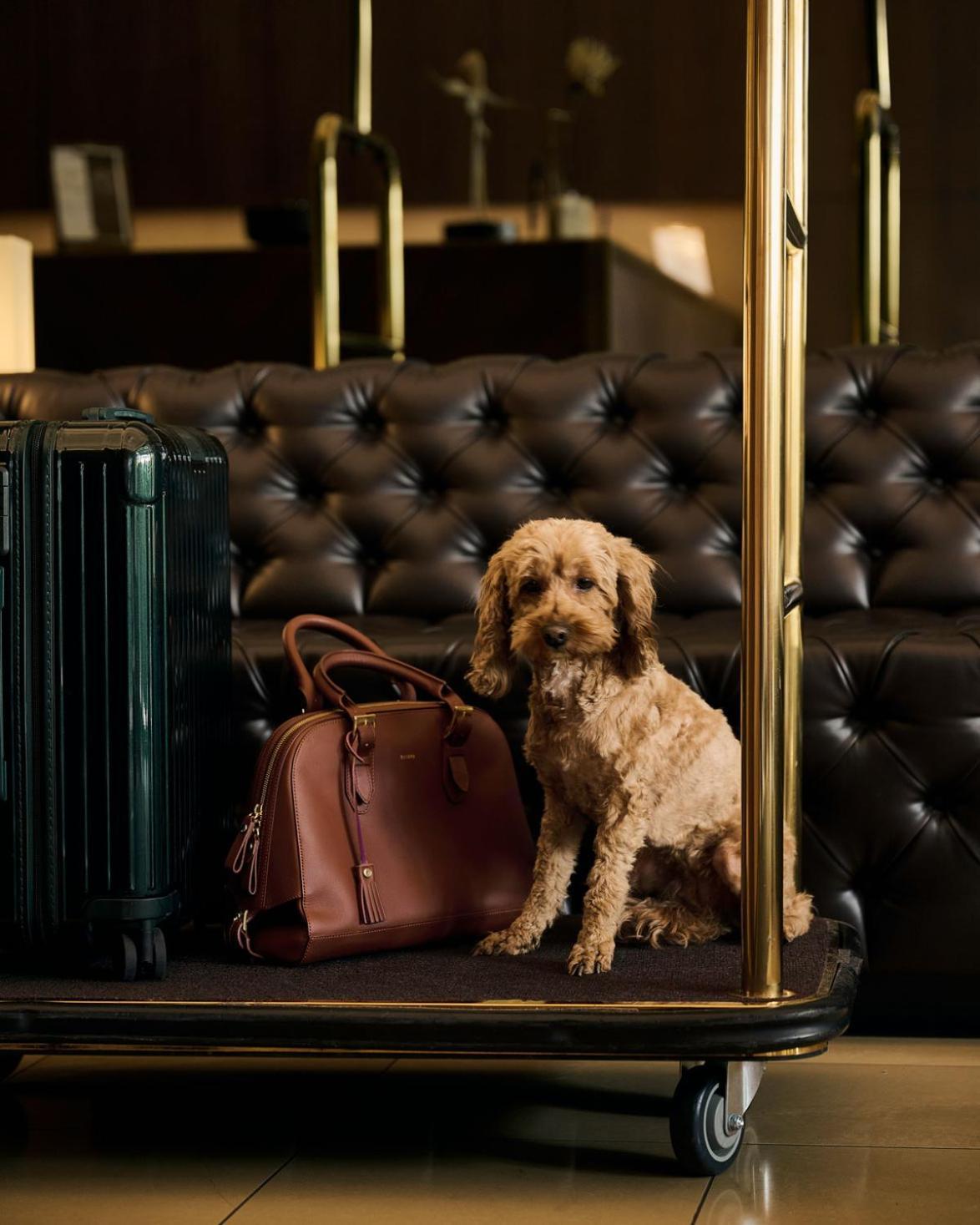 Melter & - A Neighborhood Hotel